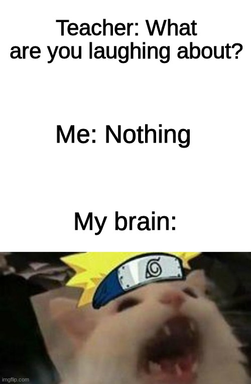 I couldn't stop laughing | Teacher: What are you laughing about? Me: Nothing; My brain: | image tagged in memes,blank transparent square,naruto cat,funny,teacher what are you laughing at | made w/ Imgflip meme maker