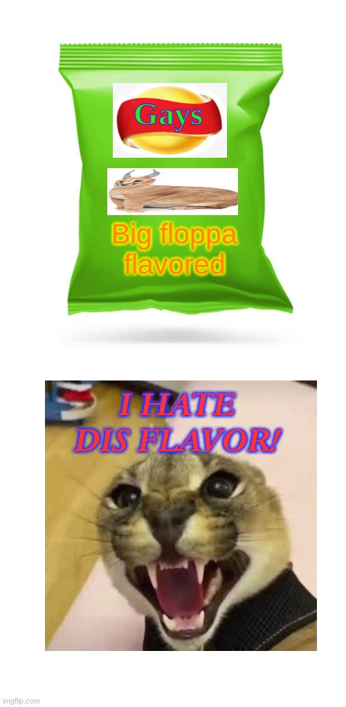 mmm | Gays; Big floppa flavored; I HATE DIS FLAVOR! | image tagged in memes,big floppa | made w/ Imgflip meme maker