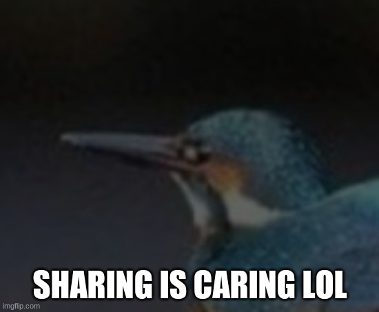 SHARING IS CARING LOL | made w/ Imgflip meme maker