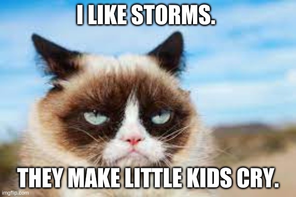 Storms | I LIKE STORMS. THEY MAKE LITTLE KIDS CRY. | image tagged in grumpy cat | made w/ Imgflip meme maker
