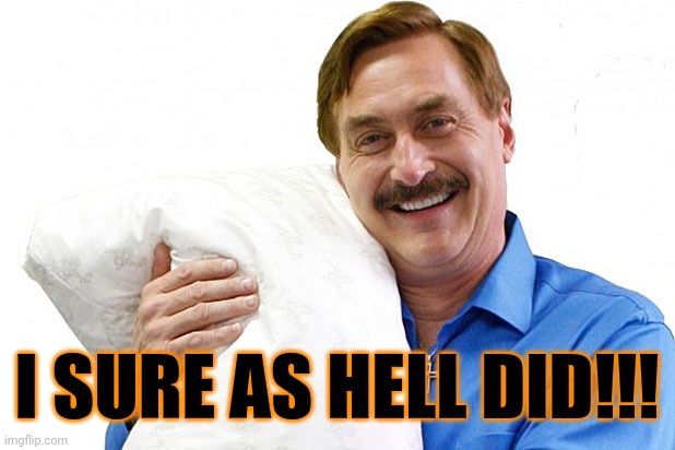 My Pillow | I SURE AS HELL DID!!! | image tagged in my pillow | made w/ Imgflip meme maker