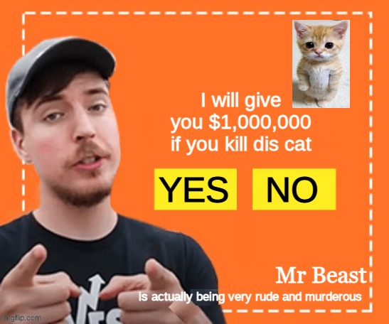 i would keep the kitty | I will give you $1,000,000 if you kill dis cat; NO; YES; Mr Beast; is actually being very rude and murderous | image tagged in mr beast honey ad | made w/ Imgflip meme maker