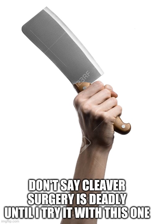 Cleaver PNG | DON'T SAY CLEAVER SURGERY IS DEADLY UNTIL I TRY IT WITH THIS ONE | image tagged in cleaver png | made w/ Imgflip meme maker