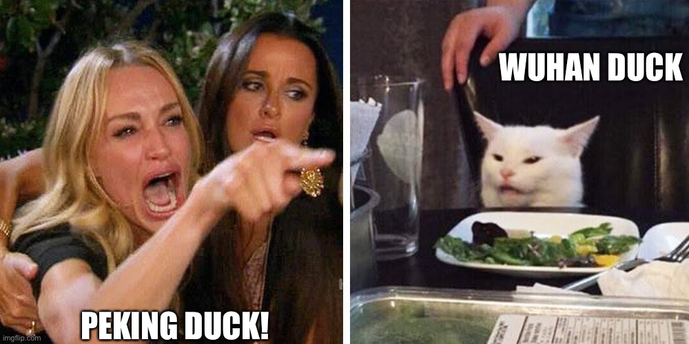 Smudge the cat | WUHAN DUCK; PEKING DUCK! | image tagged in smudge the cat | made w/ Imgflip meme maker