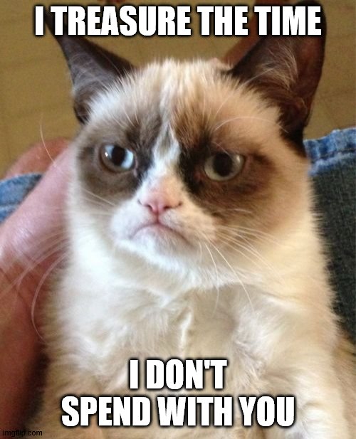 I treasure the time | I TREASURE THE TIME; I DON'T SPEND WITH YOU | image tagged in memes,grumpy cat | made w/ Imgflip meme maker
