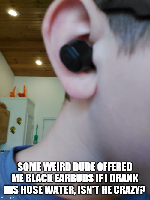 SOME WEIRD DUDE OFFERED ME BLACK EARBUDS IF I DRANK HIS HOSE WATER, ISN'T HE CRAZY? | made w/ Imgflip meme maker