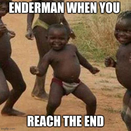 Third World Success Kid Meme | ENDERMAN WHEN YOU; REACH THE END | image tagged in memes,third world success kid | made w/ Imgflip meme maker