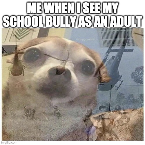 Fortunate son noises | ME WHEN I SEE MY SCHOOL BULLY AS AN ADULT | image tagged in ptsd chihuahua | made w/ Imgflip meme maker