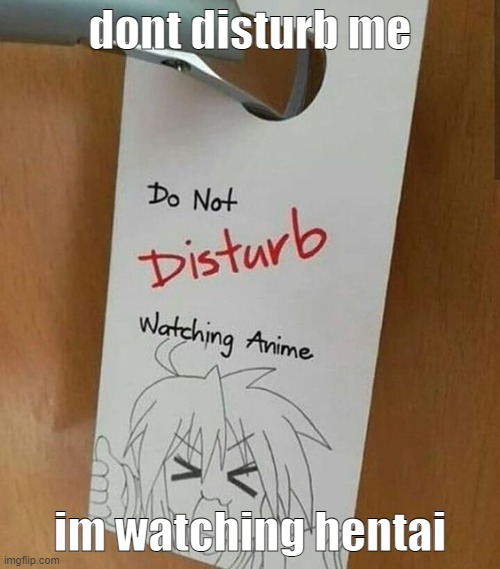 WHAT THE FUCK DUDE, IM WATCHING HENTAI! | dont disturb me; im watching hentai | image tagged in what the fuck,dude,why,i dont care,hentai | made w/ Imgflip meme maker