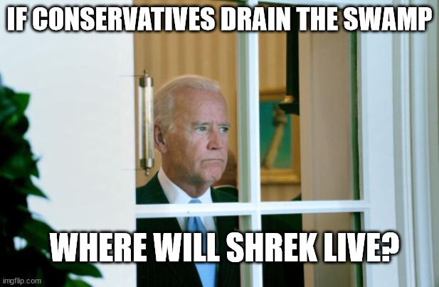 LOL and people voted for this idiot | IF CONSERVATIVES DRAIN THE SWAMP; WHERE WILL SHREK LIVE? | image tagged in biden window,creepy joe biden | made w/ Imgflip meme maker