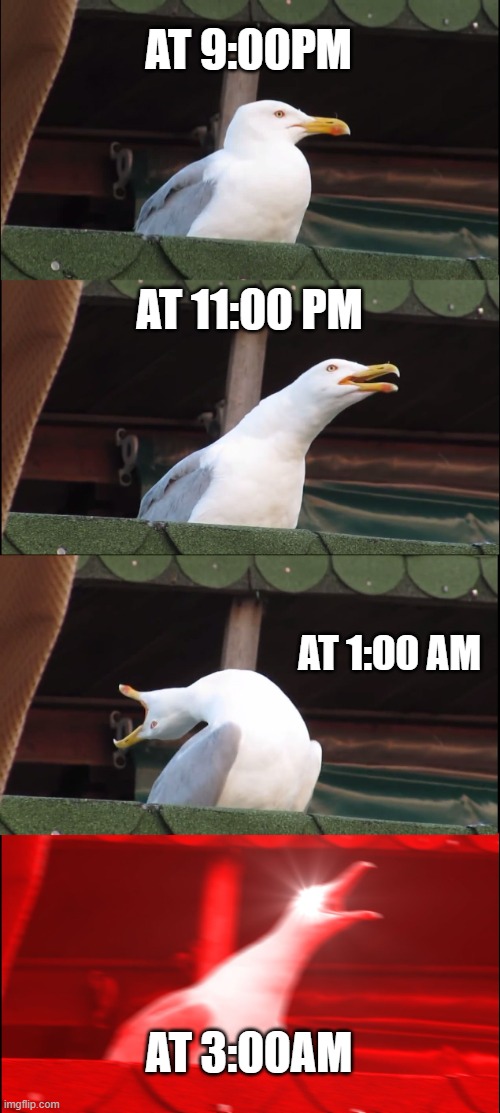 Inhaling Seagull Meme | AT 9:00PM; AT 11:00 PM; AT 1:00 AM; AT 3:00AM | image tagged in memes,inhaling seagull | made w/ Imgflip meme maker