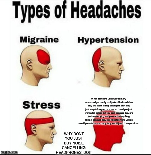 Types of Headaches meme |  When someone uses way to many words and you really really dont like it and then they are about to stop talking but then they just keep talking and you are so bored you just wanna fall asleep but you cant because they are just so annoying and you cant do anything about it because they just keep following you so even if you tried to run away they would just chase you down. WHY DONT YOU JUST BUY NOISE CANCELLING HEADPHONES IDOIT | image tagged in types of headaches meme | made w/ Imgflip meme maker