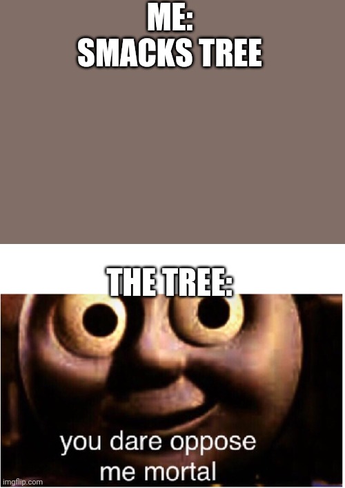 If trees could talk | ME: SMACKS TREE; THE TREE: | image tagged in you dare oppose me mortal | made w/ Imgflip meme maker