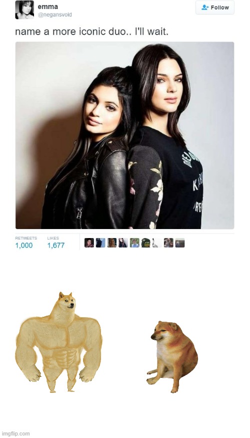 Name a More Iconic Duo | image tagged in name a more iconic duo,memes,cheems,buff doge | made w/ Imgflip meme maker
