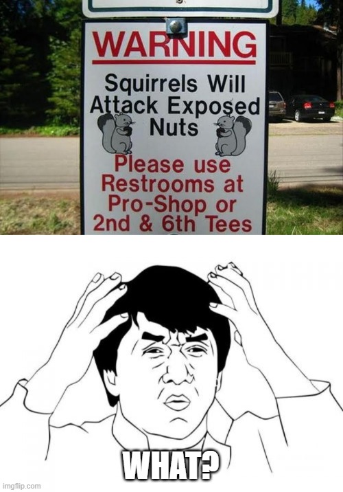 ???? | WHAT? | image tagged in memes,jackie chan wtf,squirrel,signs | made w/ Imgflip meme maker