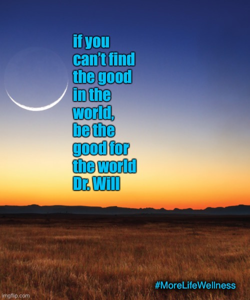 World Love | if you 
can’t find 
the good
in the 
world,
be the 
good for 
the world 
Dr. Will; #MoreLifeWellness | image tagged in world,love,happy,be nice | made w/ Imgflip meme maker