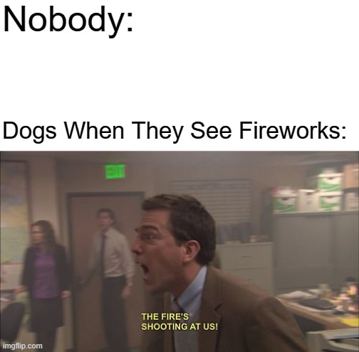 The Fires Shooting At Us | Nobody:; Dogs When They See Fireworks: | image tagged in the fires shooting at us,memes,fireworks,dogs,gifs,funny | made w/ Imgflip meme maker