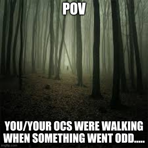 this is for two ocs but one oc is ok | POV; YOU/YOUR OCS WERE WALKING WHEN SOMETHING WENT ODD..... | image tagged in wolf | made w/ Imgflip meme maker