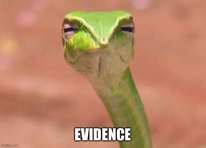 Skeptical snake | EVIDENCE | image tagged in skeptical snake | made w/ Imgflip meme maker