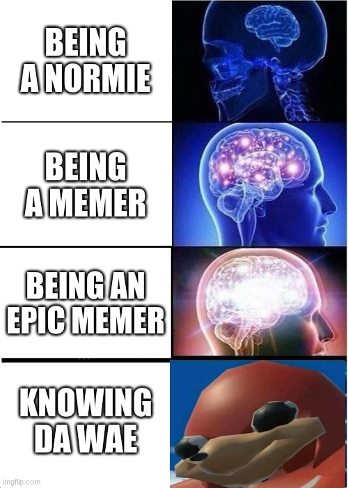 Expanding Brain | BEING A NORMIE; BEING A MEMER; BEING AN EPIC MEMER; KNOWING DA WAE | image tagged in memes,expanding brain | made w/ Imgflip meme maker