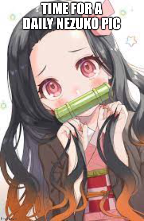 Because yes | TIME FOR A DAILY NEZUKO PIC | made w/ Imgflip meme maker