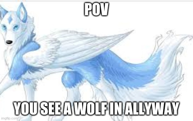 POV; YOU SEE A WOLF IN ALLYWAY | made w/ Imgflip meme maker