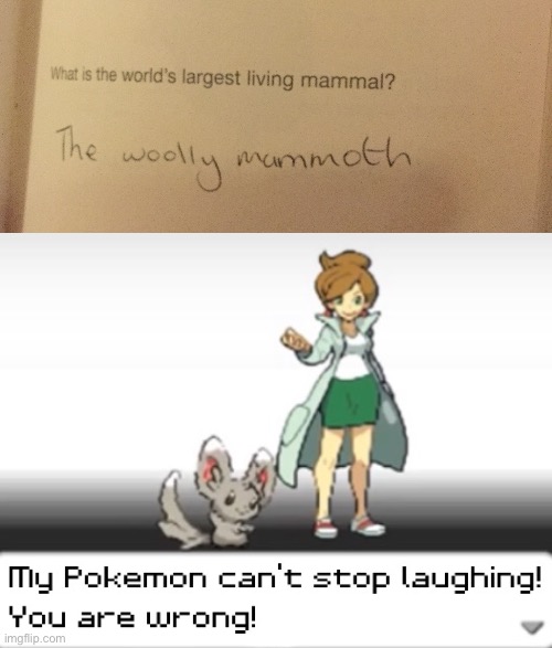 Funny test answer 3 | image tagged in my pokemon can't stop laughing you are wrong,school,funny test answers,dogs,cats,funny | made w/ Imgflip meme maker
