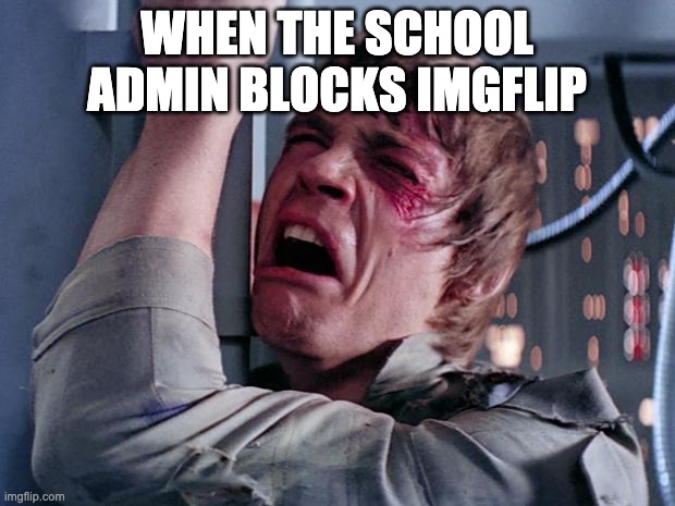 true story | WHEN THE SCHOOL ADMIN BLOCKS IMGFLIP | image tagged in luke nooooo | made w/ Imgflip meme maker