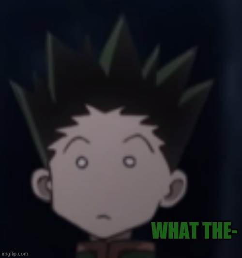 Gon what the- | image tagged in gon what the- | made w/ Imgflip meme maker