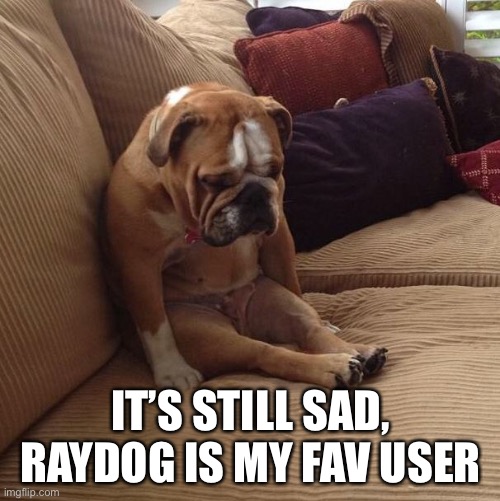 bulldogsad | IT’S STILL SAD, RAYDOG IS MY FAV USER | image tagged in bulldogsad | made w/ Imgflip meme maker