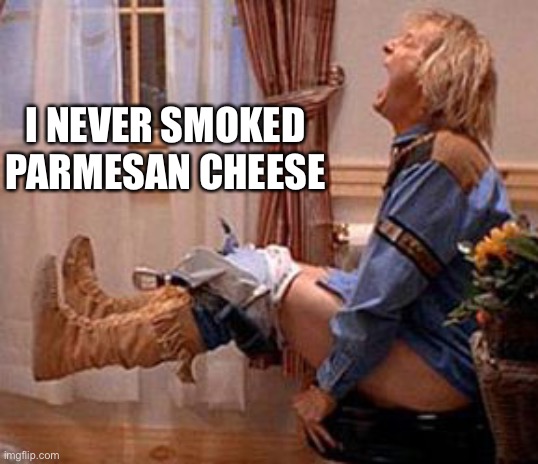 Parmesan Cheesehead | I NEVER SMOKED PARMESAN CHEESE | image tagged in dumb dumber turbo lax,biden | made w/ Imgflip meme maker