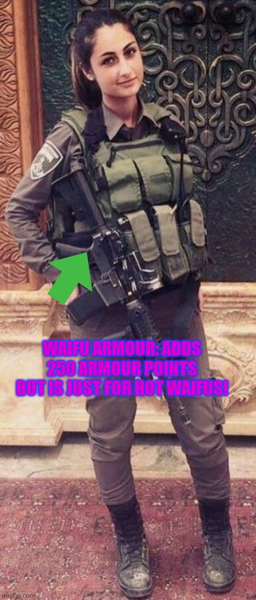 WAIFU ARMOUR: ADDS 250 ARMOUR POINTS BUT IS JUST FOR HOT WAIFUS! | made w/ Imgflip meme maker