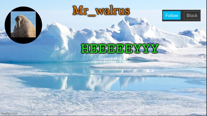Mr_walrus | HEEEEEYYY | image tagged in mr_walrus | made w/ Imgflip meme maker
