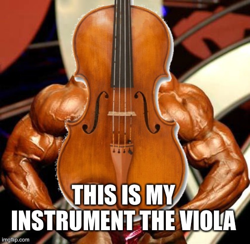 This is what I play | image tagged in viola,orchestra,middle school,violas | made w/ Imgflip meme maker