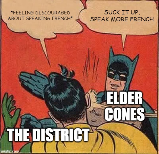 Batman Slapping Robin Meme | *FEELING DISCOURAGED ABOUT SPEAKING FRENCH*; SUCK IT UP, SPEAK MORE FRENCH; ELDER CONES; THE DISTRICT | image tagged in memes,batman slapping robin | made w/ Imgflip meme maker