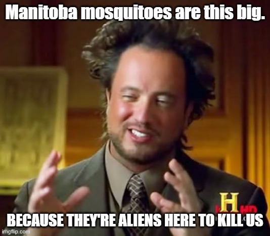 Manitoba mosquitoes are this big. | Manitoba mosquitoes are this big. BECAUSE THEY'RE ALIENS HERE TO KILL US | image tagged in memes,ancient aliens | made w/ Imgflip meme maker
