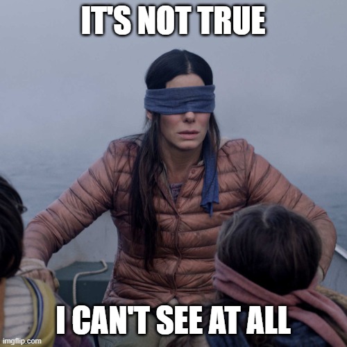 Bird Box Meme | IT'S NOT TRUE I CAN'T SEE AT ALL | image tagged in memes,bird box | made w/ Imgflip meme maker