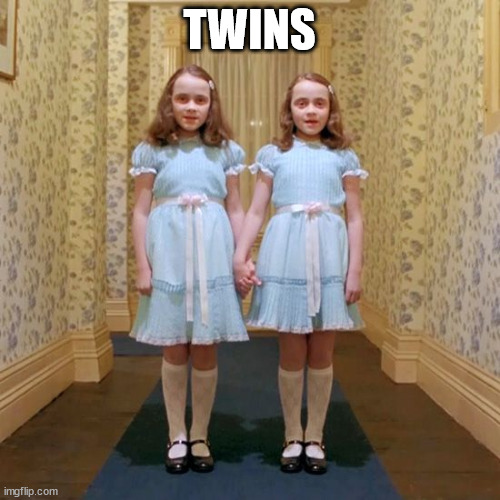 Twins from The Shining | TWINS | image tagged in twins from the shining | made w/ Imgflip meme maker