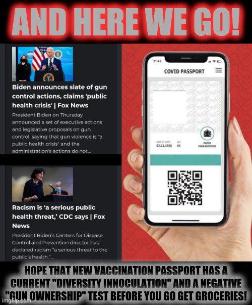papers please | AND HERE WE GO! HOPE THAT NEW VACCINATION PASSPORT HAS A CURRENT "DIVERSITY INNOCULATION" AND A NEGATIVE "GUN OWNERSHIP" TEST BEFORE YOU GO GET GROCERIES! | image tagged in covid passport,gun control,racism,communist socialist,tyranny | made w/ Imgflip meme maker