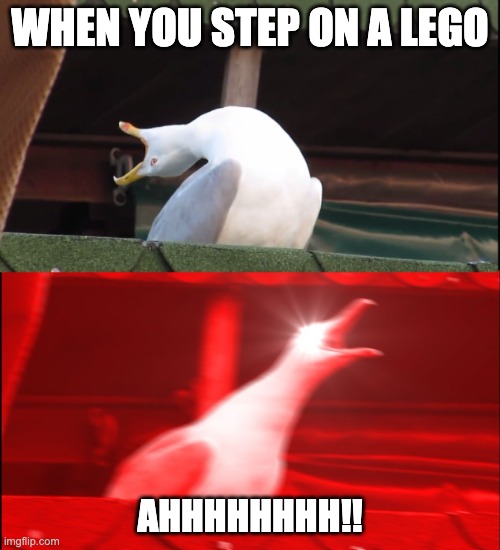 Screaming bird | WHEN YOU STEP ON A LEGO; AHHHHHHHH!! | image tagged in screaming bird,funny,memes | made w/ Imgflip meme maker