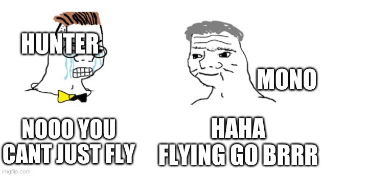 nooo haha go brrr | NOOO YOU CANT JUST FLY HAHA FLYING GO BRRR HUNTER MONO | image tagged in nooo haha go brrr | made w/ Imgflip meme maker