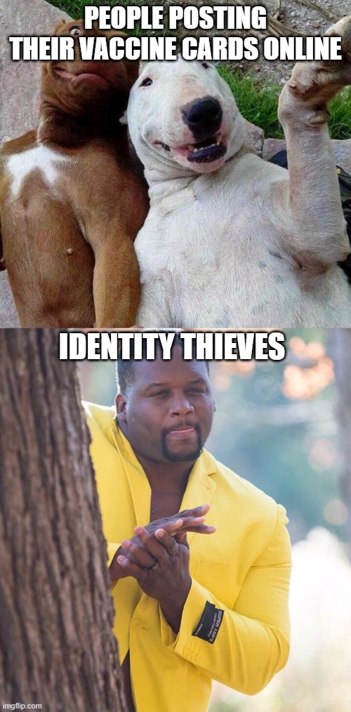 Covidentity Theft | PEOPLE POSTING THEIR VACCINE CARDS ONLINE; IDENTITY THIEVES | image tagged in selfie dogs,black guy hiding behind tree,covid-19,vaccines | made w/ Imgflip meme maker