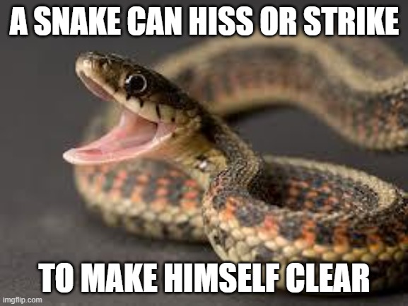 Hiss or strike | A SNAKE CAN HISS OR STRIKE; TO MAKE HIMSELF CLEAR | image tagged in warning snake | made w/ Imgflip meme maker