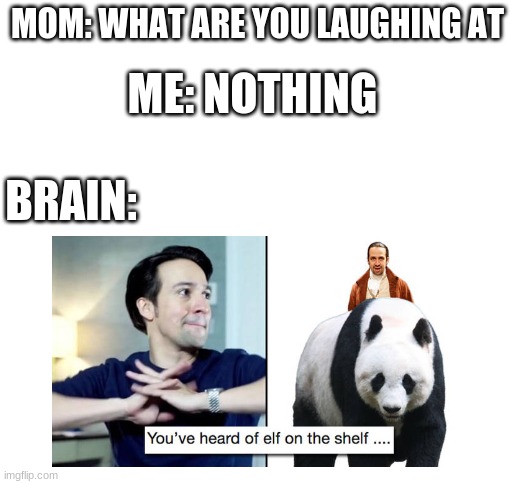 XD | MOM: WHAT ARE YOU LAUGHING AT; ME: NOTHING; BRAIN: | image tagged in blank white template | made w/ Imgflip meme maker
