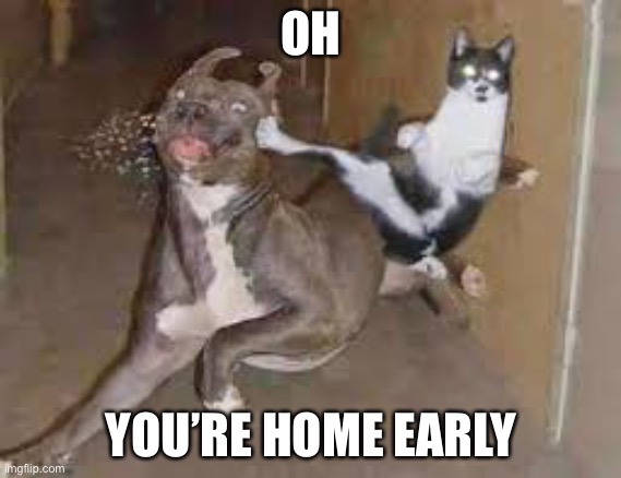did some one say ____???? | OH; YOU’RE HOME EARLY | image tagged in did some one say ____ | made w/ Imgflip meme maker
