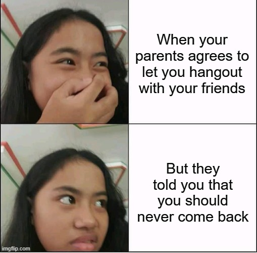 Asian parents be like | When your parents agrees to let you hangout with your friends; But they told you that you should never come back | image tagged in asians | made w/ Imgflip meme maker
