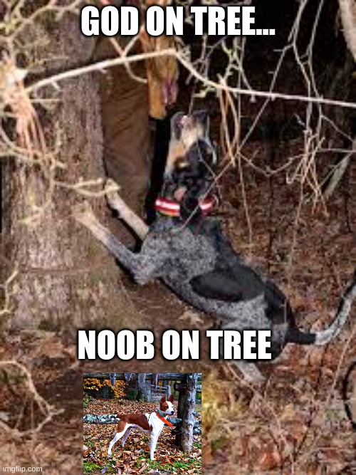 GOD ON TREE... NOOB ON TREE | image tagged in dogs | made w/ Imgflip meme maker