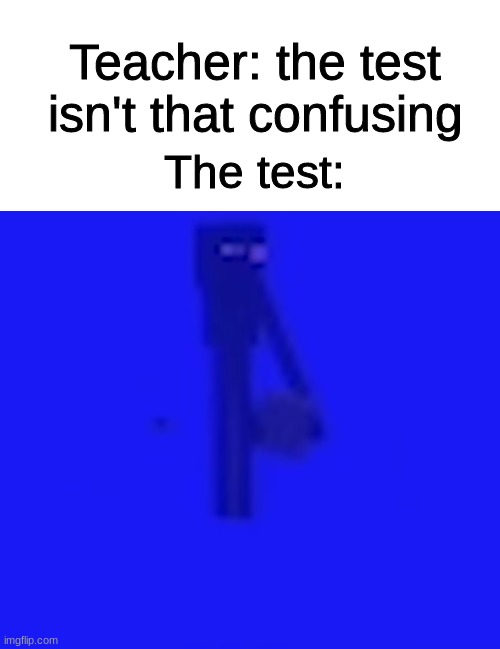 It's n0t THAT confusing | Teacher: the test isn't that confusing; The test: | image tagged in minecraft,enderman,water | made w/ Imgflip meme maker