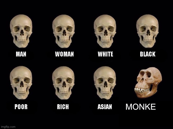 Monke | MONKE | image tagged in empty skulls of truth | made w/ Imgflip meme maker