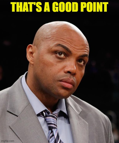 Charles Barkley | THAT'S A GOOD POINT | image tagged in charles barkley | made w/ Imgflip meme maker